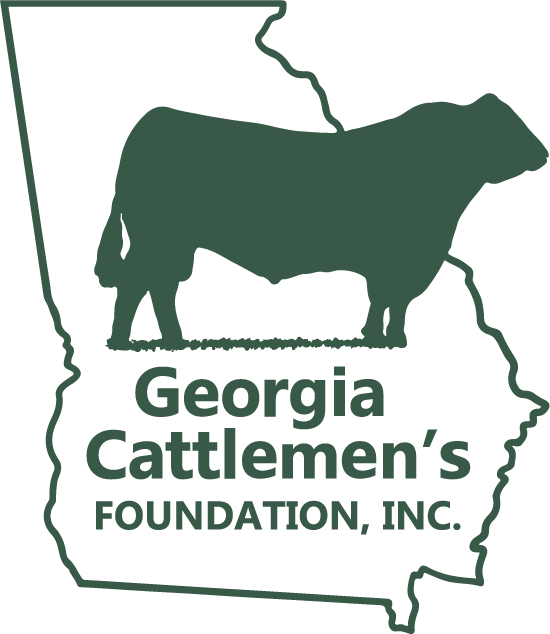 GCA Foundation Logo