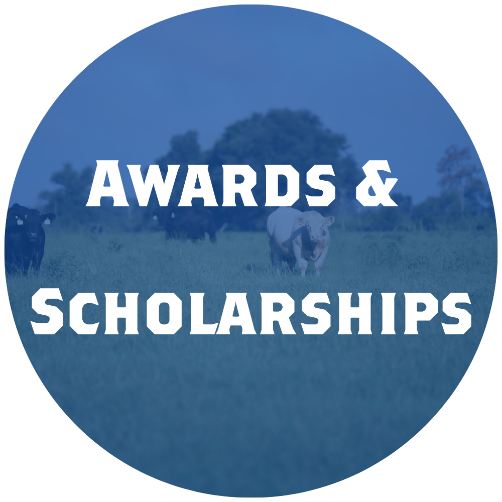 awards and scholarship image
