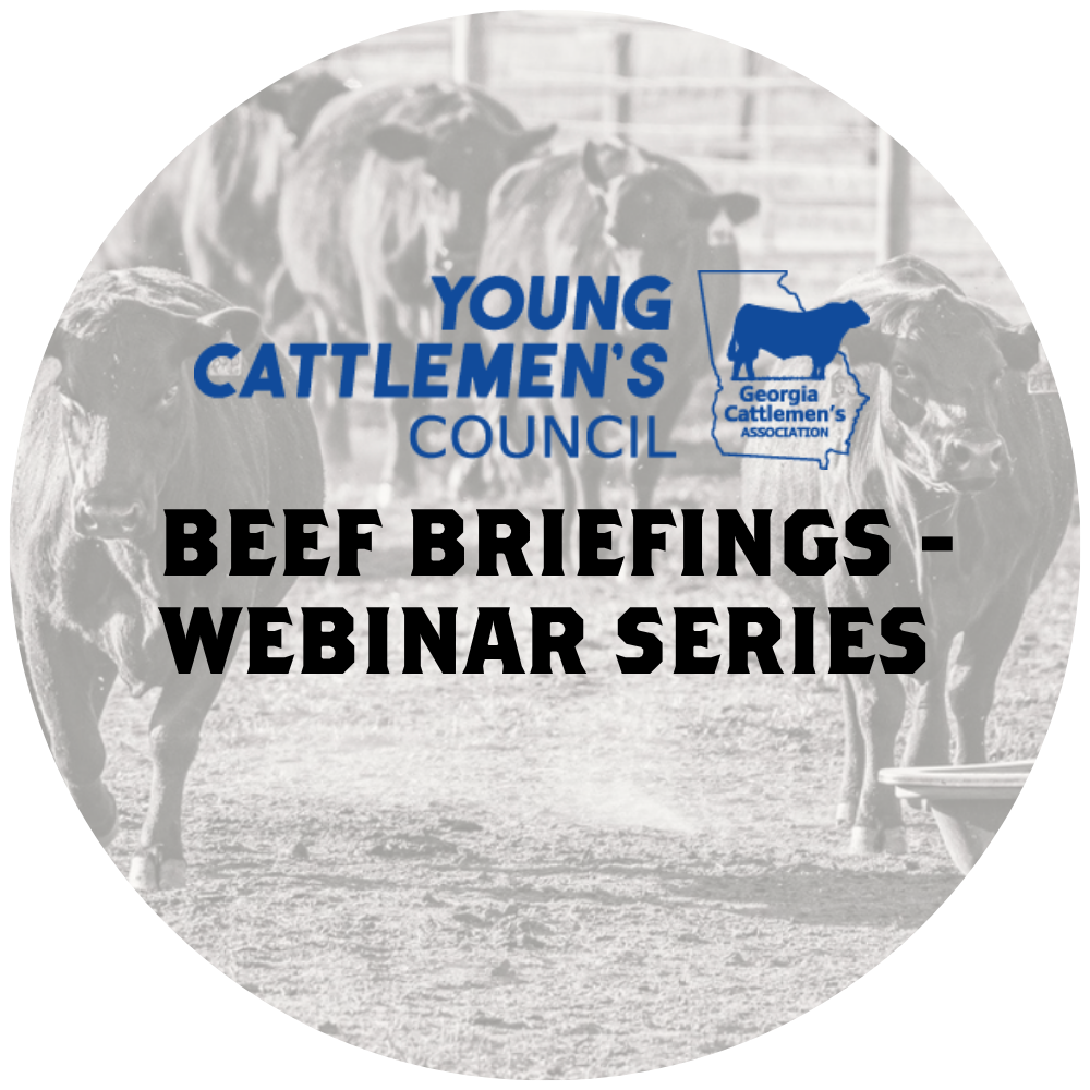YCC Seminars