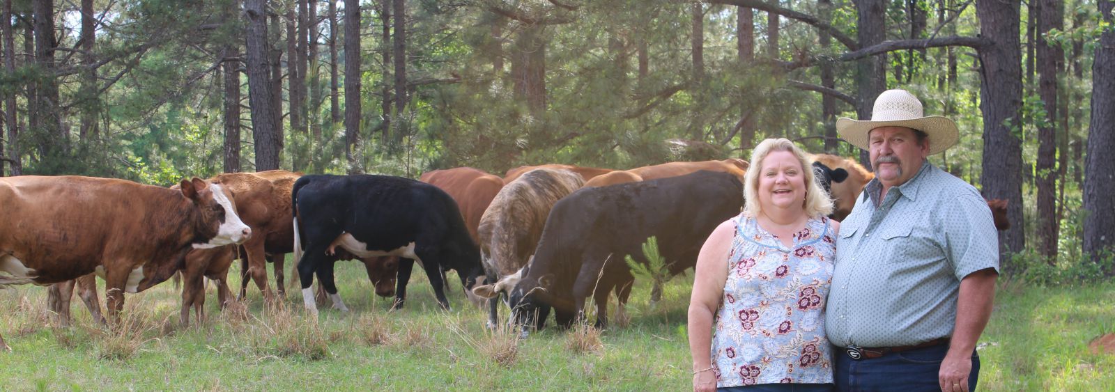 A couple standing in a field with cattle and trees