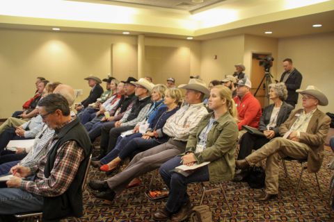 Group of people sitting in chairs