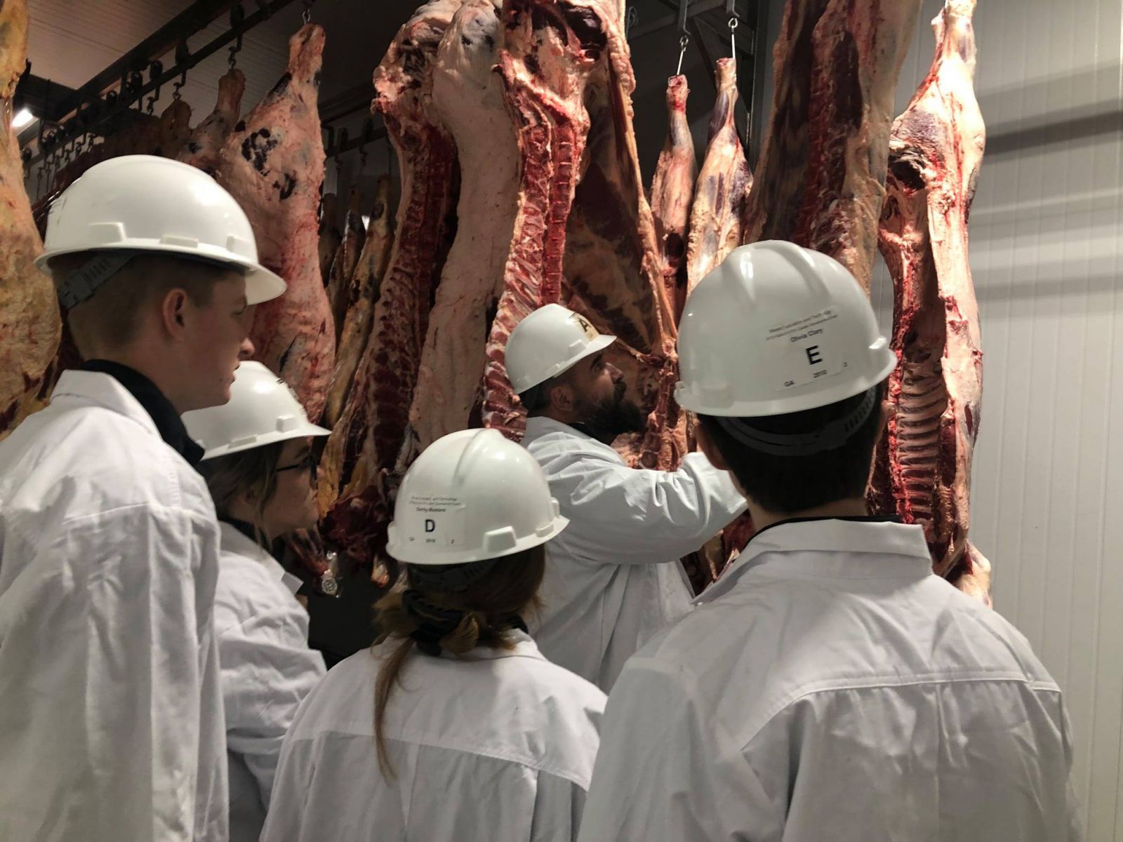 Sliced steak on a salad