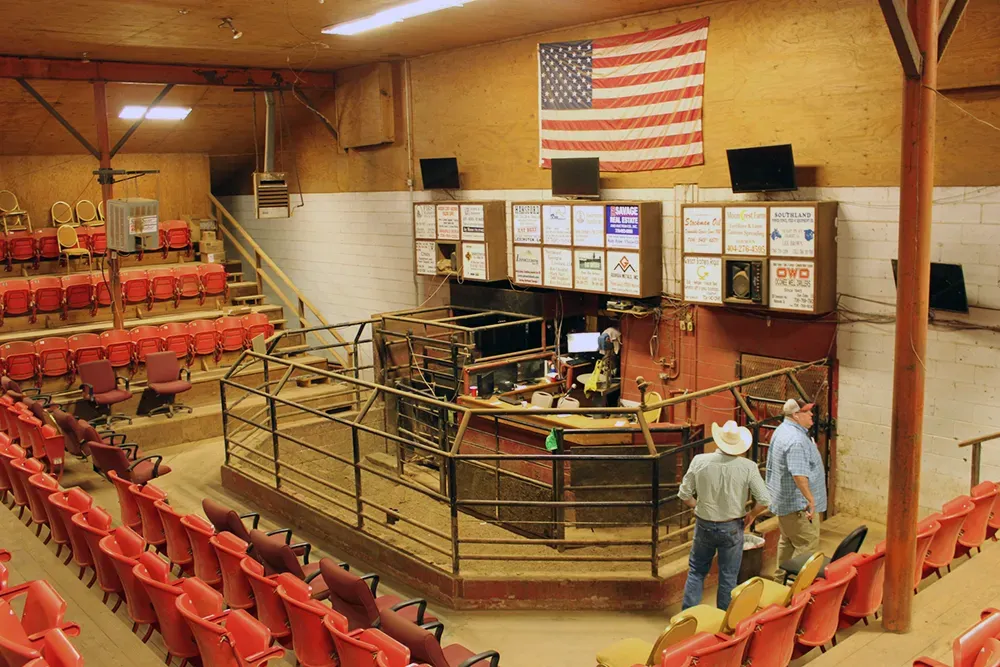 Livestock Market Hall