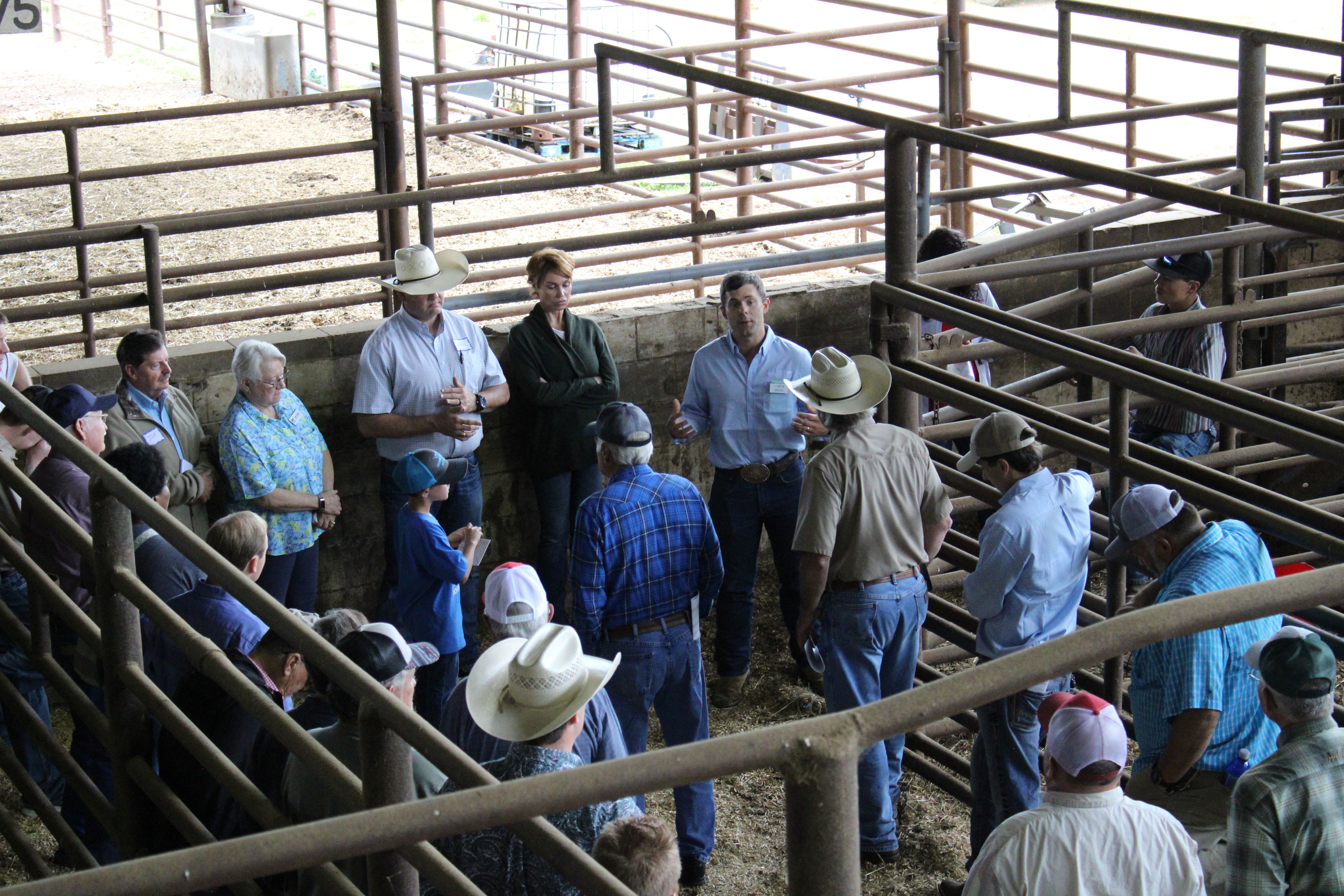 Man talking to a group of people